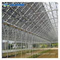 Commercial muti-span polycarbonate greenhouse